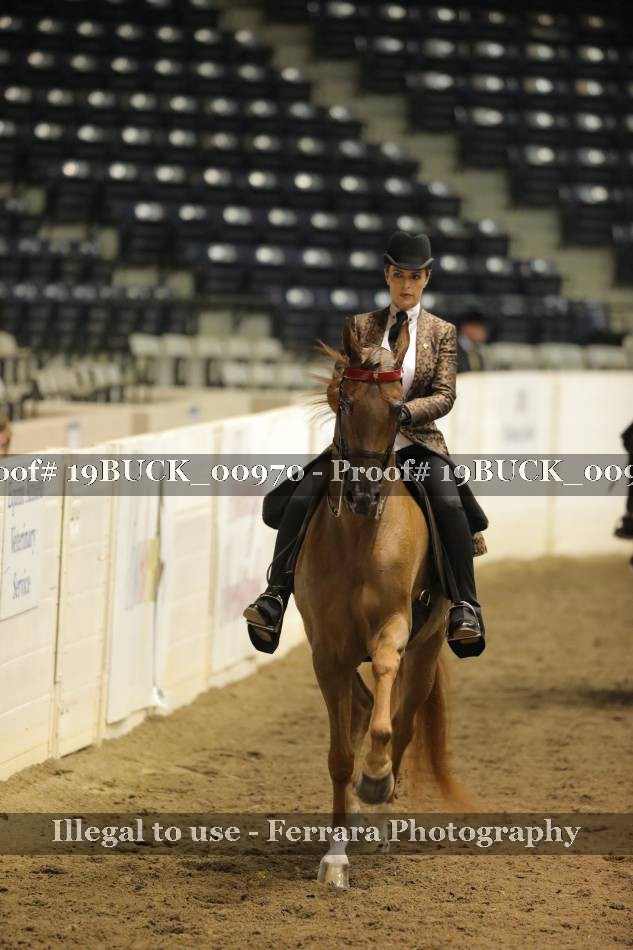 Proof 19BUCK_00970