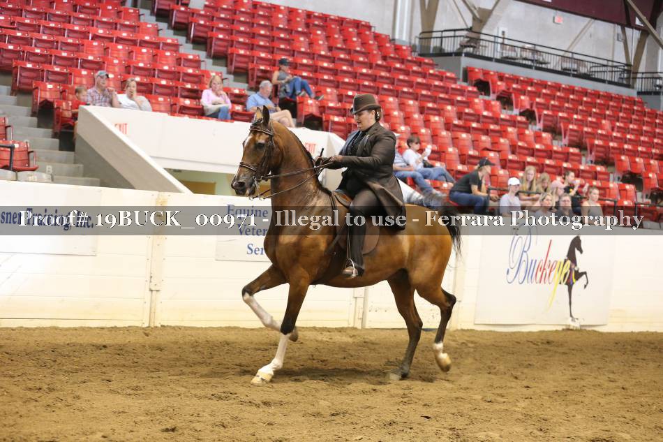 Proof 19BUCK_00971