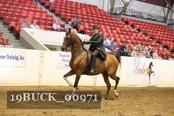 19BUCK_00971 proof