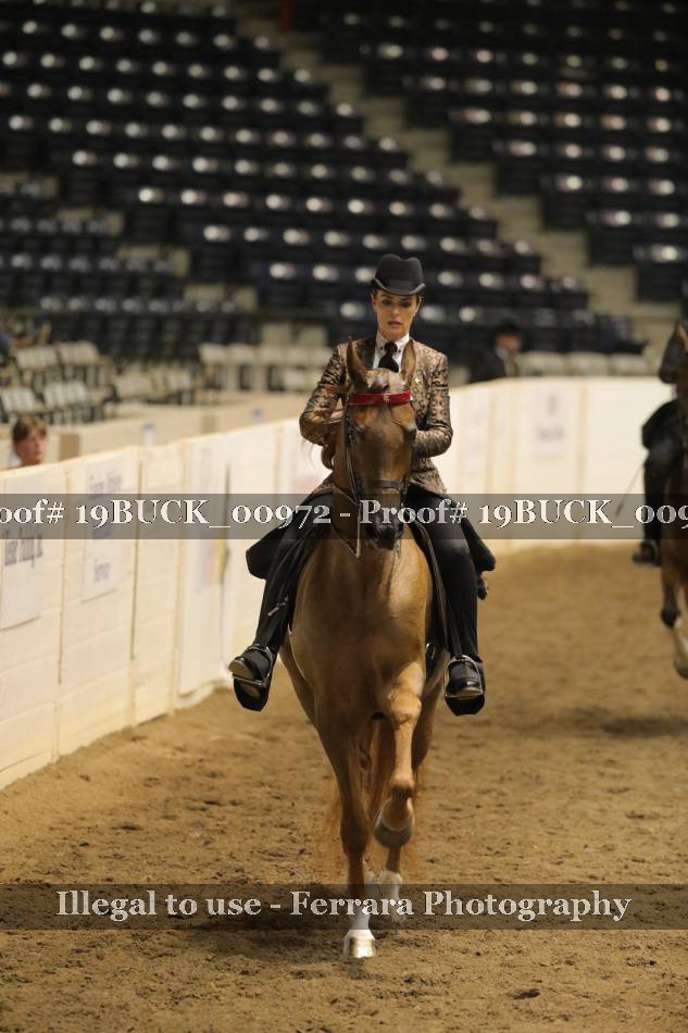Proof 19BUCK_00972