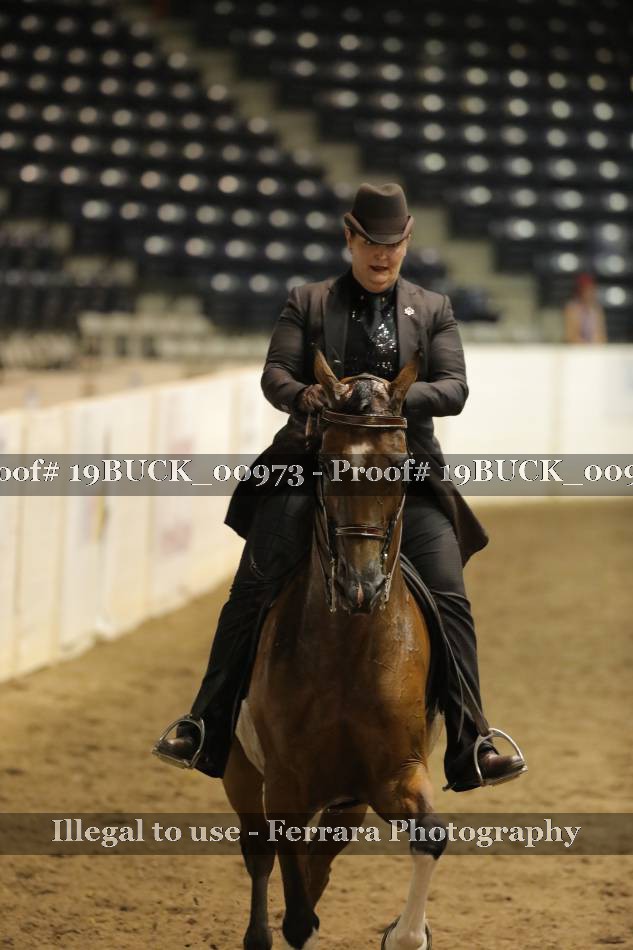Proof 19BUCK_00973