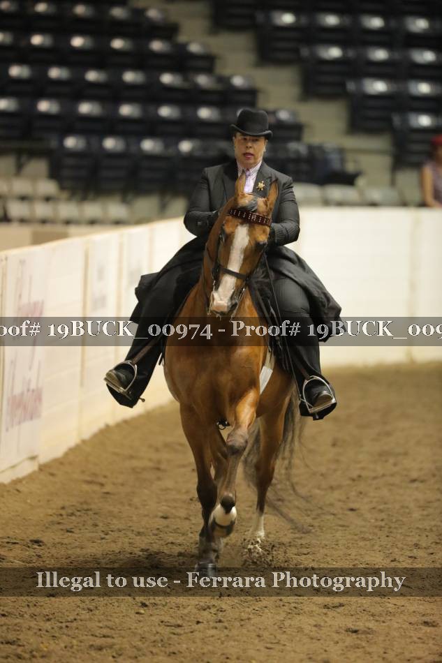 Proof 19BUCK_00974
