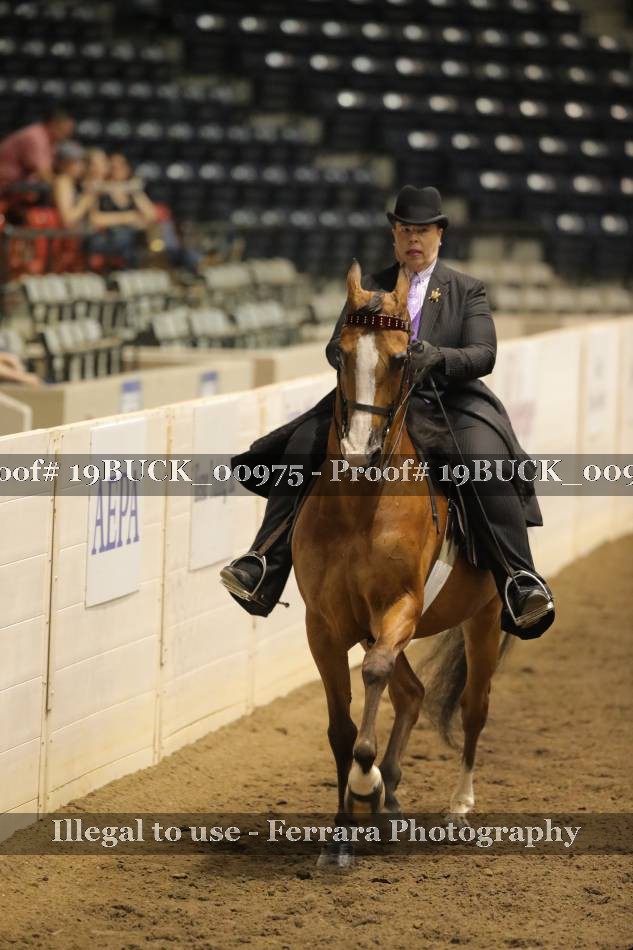 Proof 19BUCK_00975