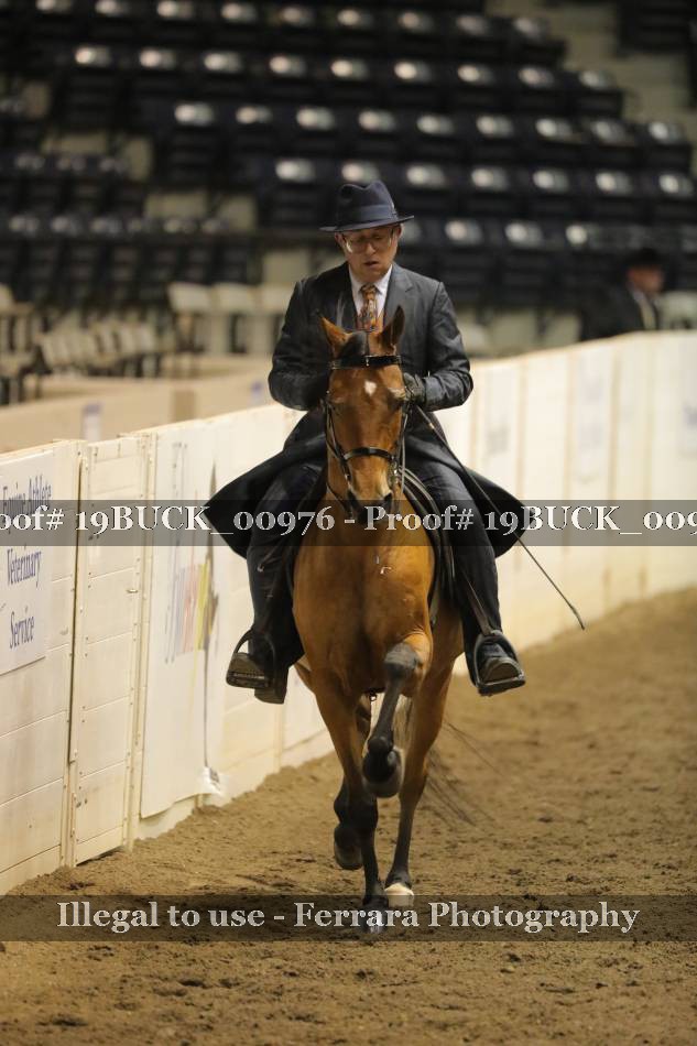 Proof 19BUCK_00976