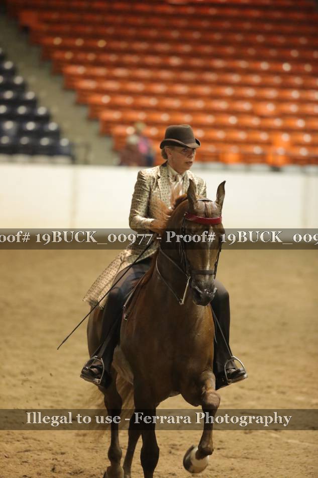 Proof 19BUCK_00977