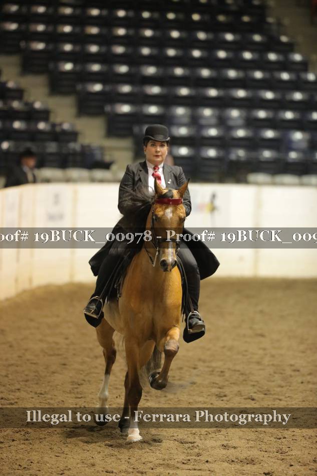 Proof 19BUCK_00978