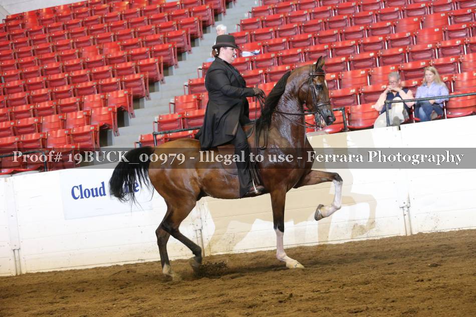 Proof 19BUCK_00979