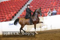 19BUCK_00979 proof