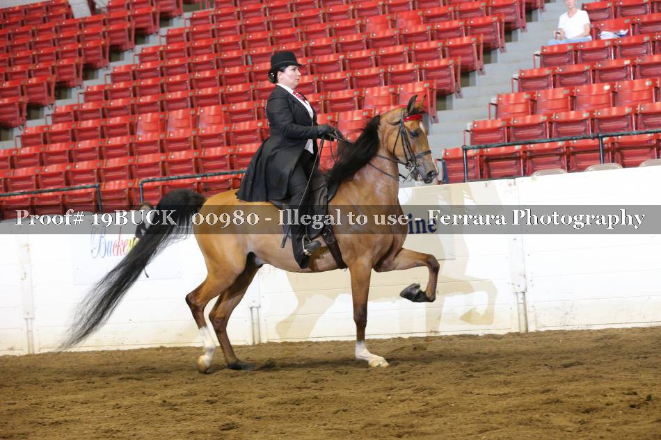 Proof 19BUCK_00980