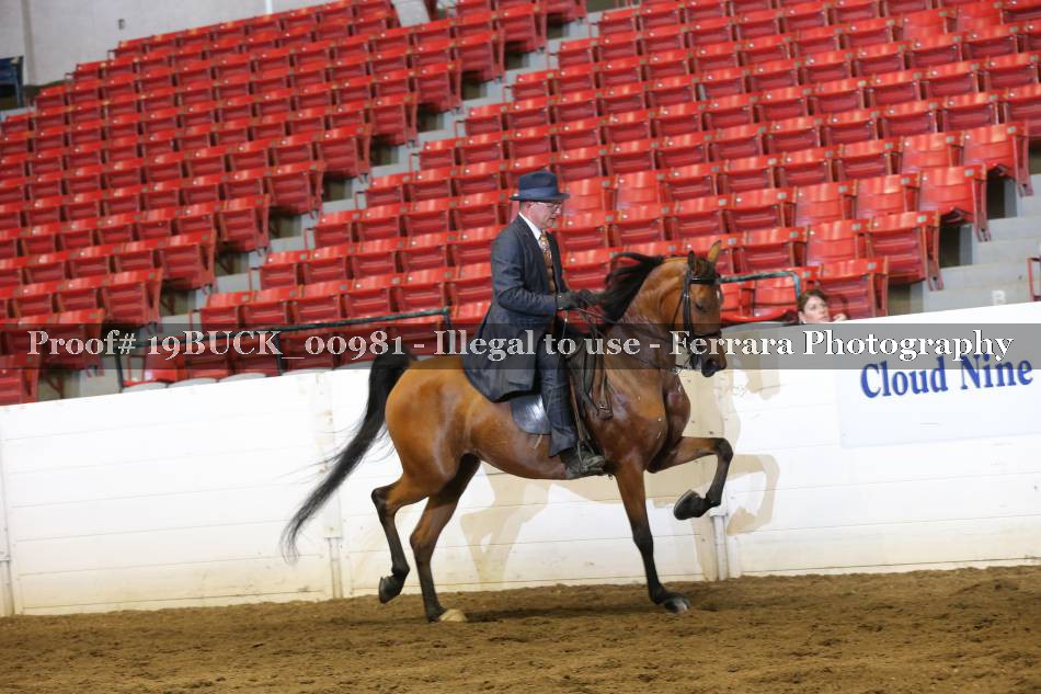 Proof 19BUCK_00981