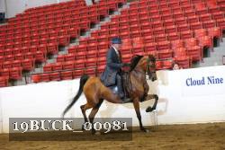 19BUCK_00981 proof