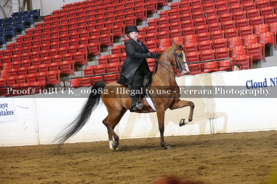 Proof 19BUCK_00982
