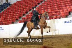 19BUCK_00982 proof