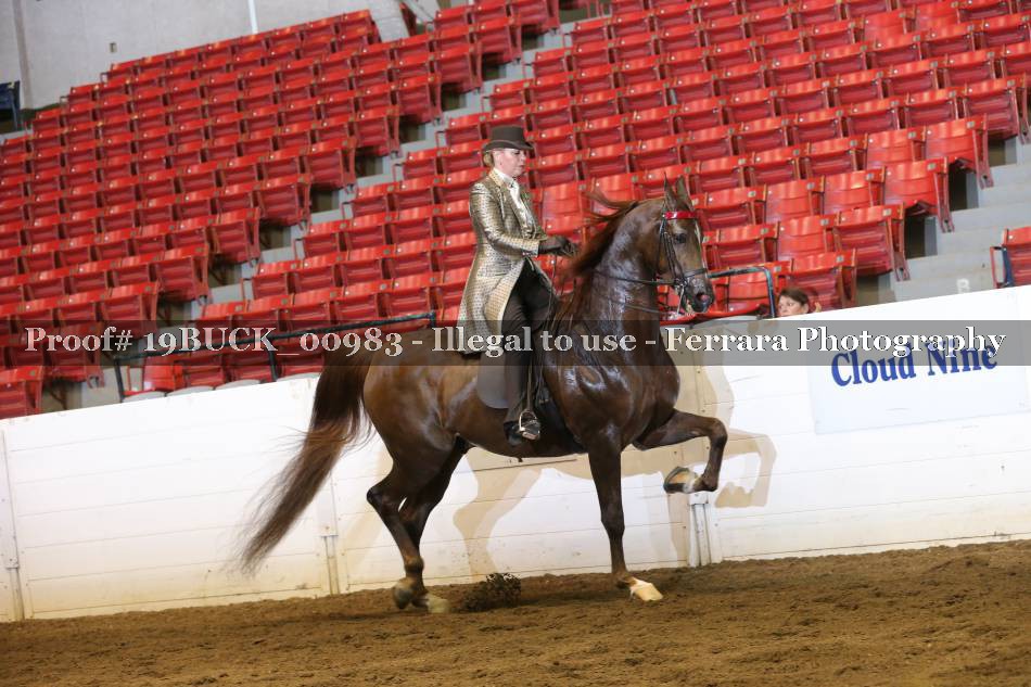 Proof 19BUCK_00983