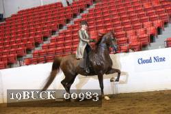 19BUCK_00983 proof