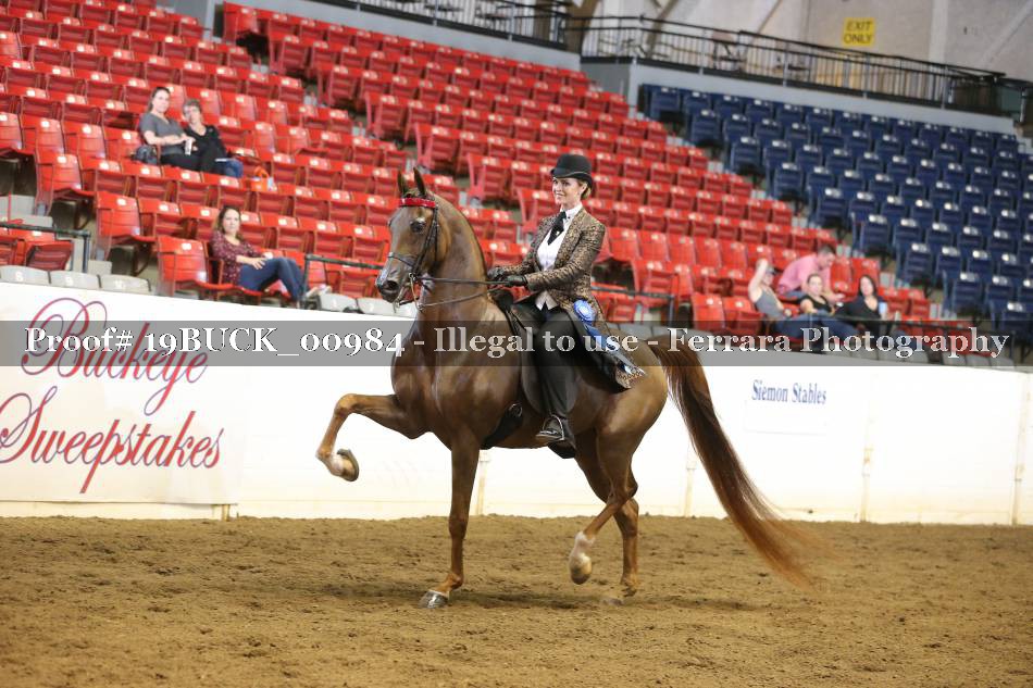 Proof 19BUCK_00984