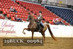 19BUCK_00984 proof