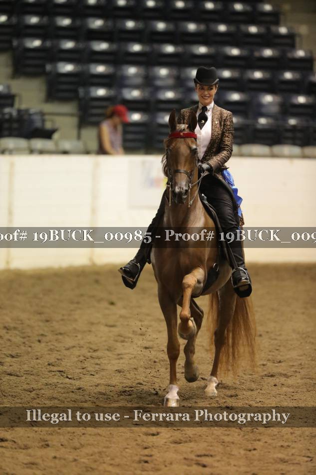 Proof 19BUCK_00985