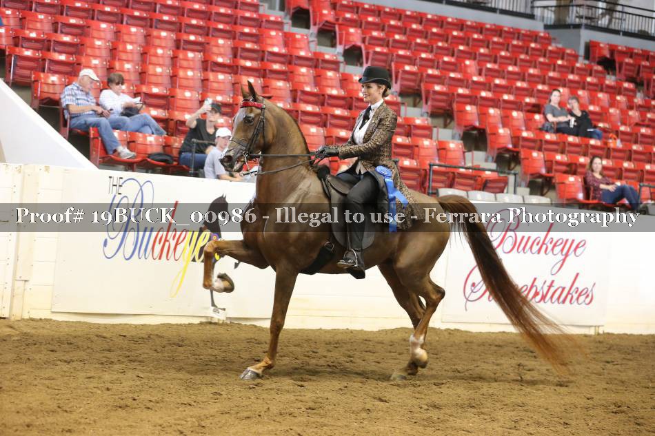 Proof 19BUCK_00986