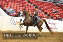 19BUCK_00986 proof