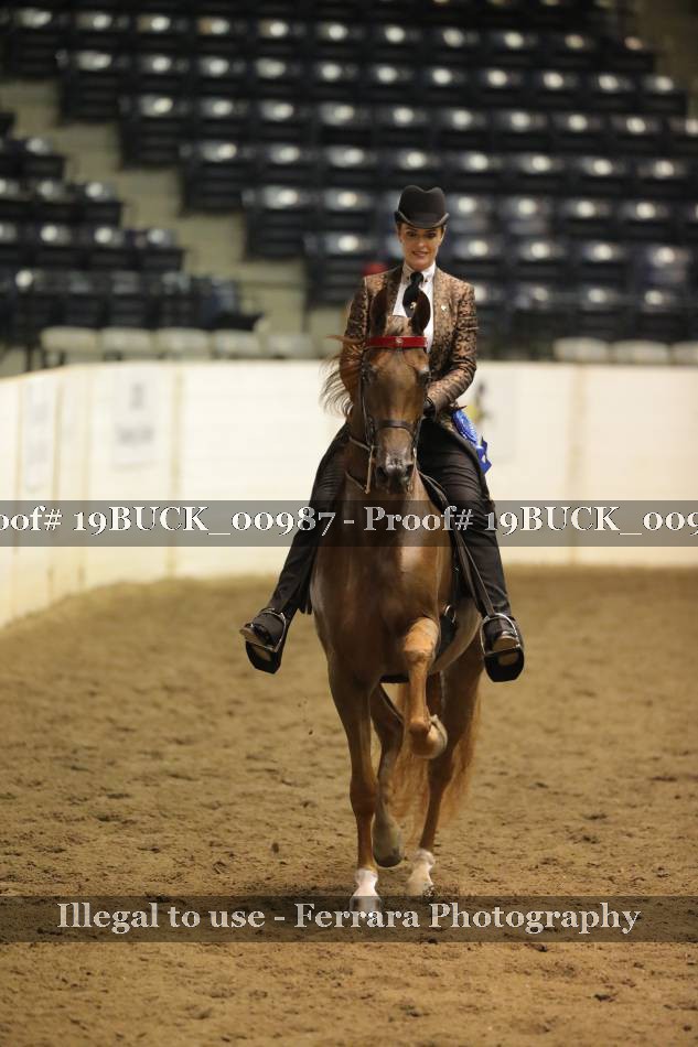 Proof 19BUCK_00987