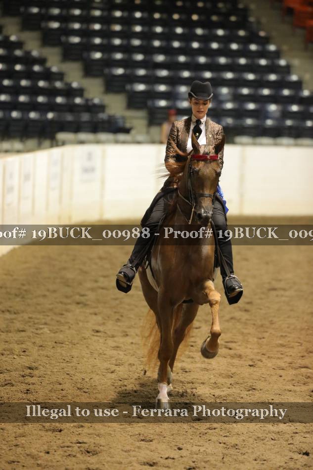 Proof 19BUCK_00988