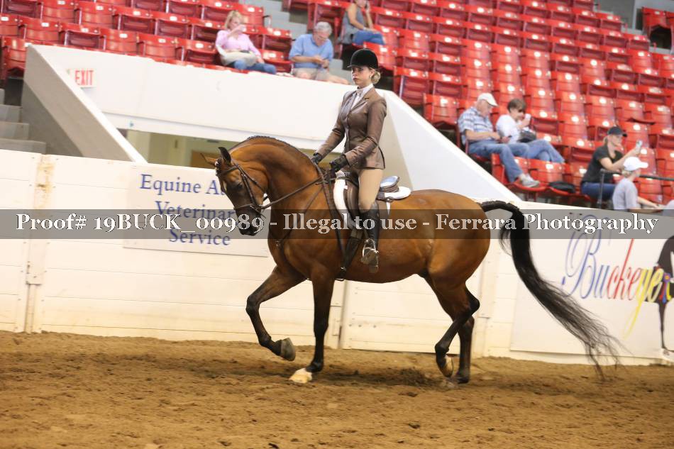 Proof 19BUCK_00989