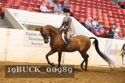 19BUCK_00989 proof