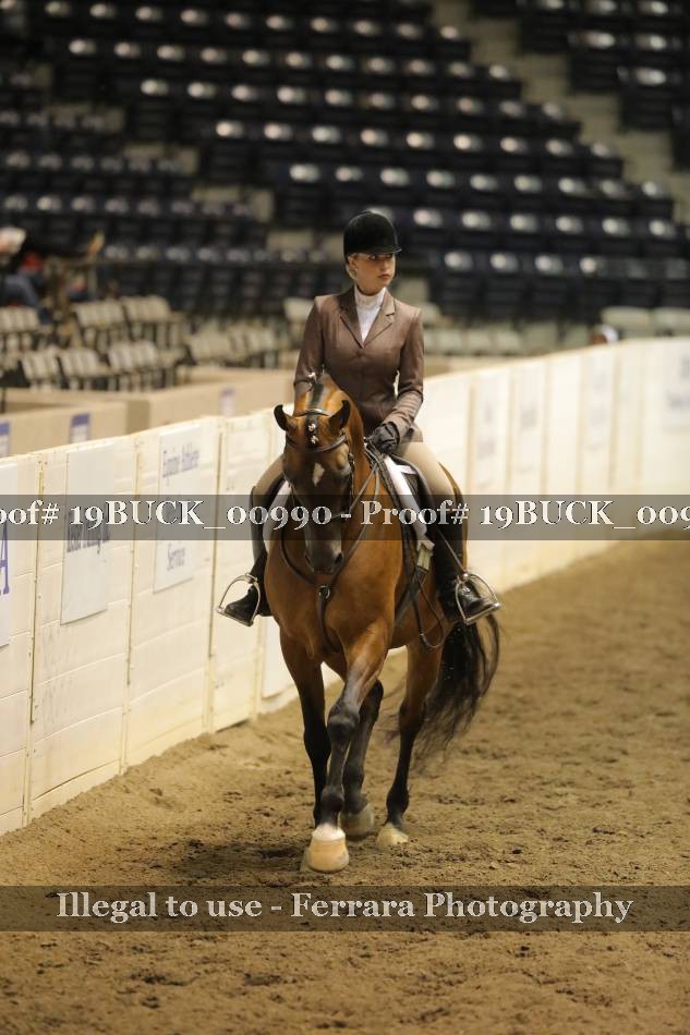 Proof 19BUCK_00990