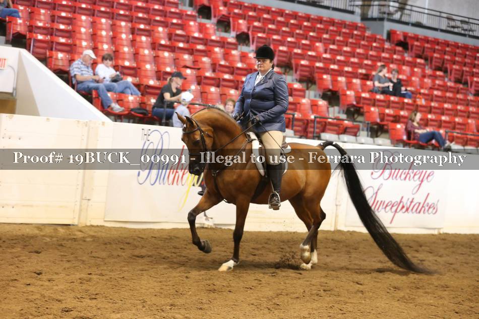 Proof 19BUCK_00991