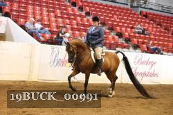 19BUCK_00991 proof