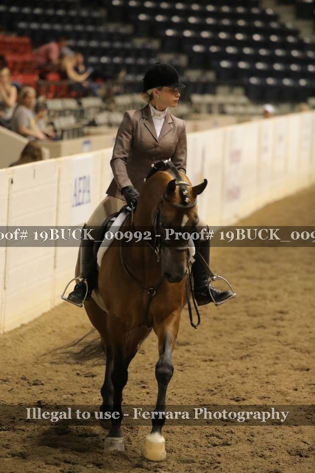 Proof 19BUCK_00992
