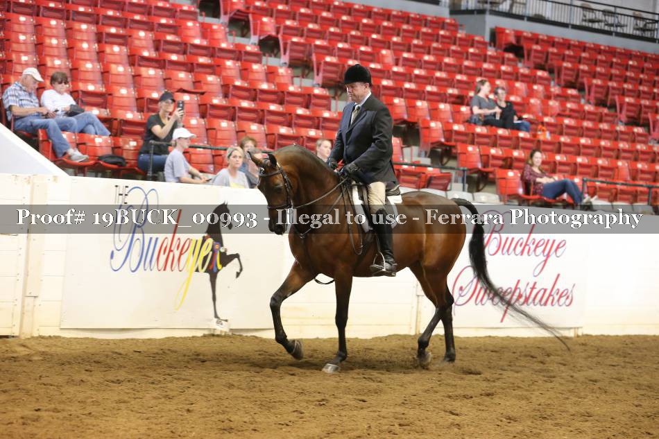 Proof 19BUCK_00993