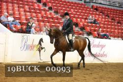 19BUCK_00993 proof