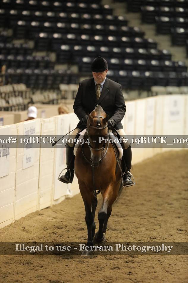 Proof 19BUCK_00994