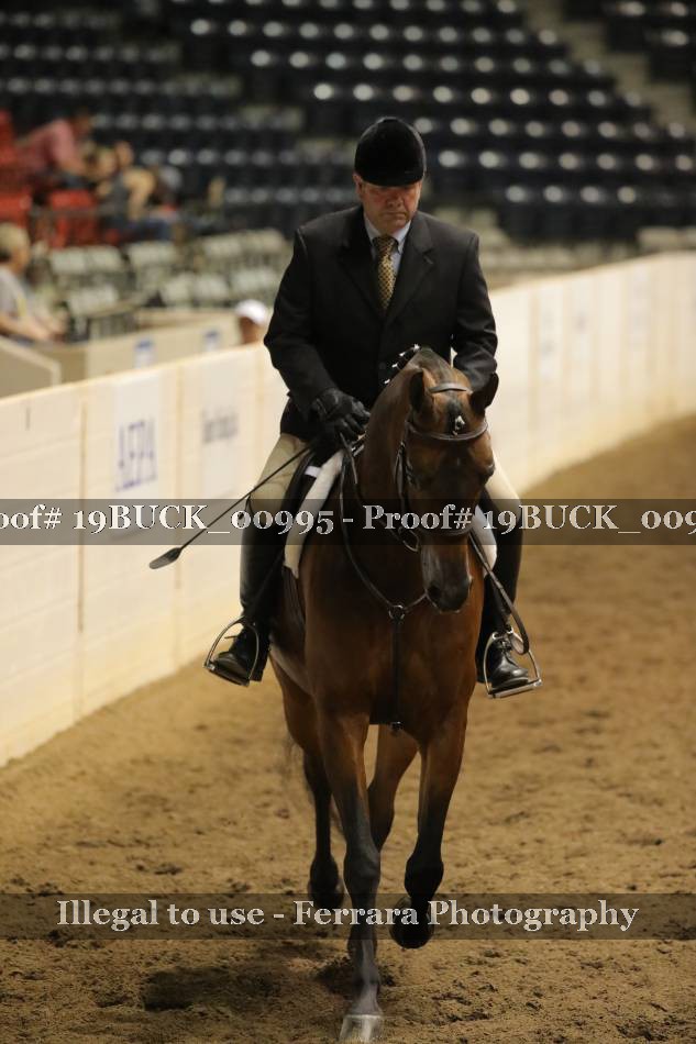 Proof 19BUCK_00995
