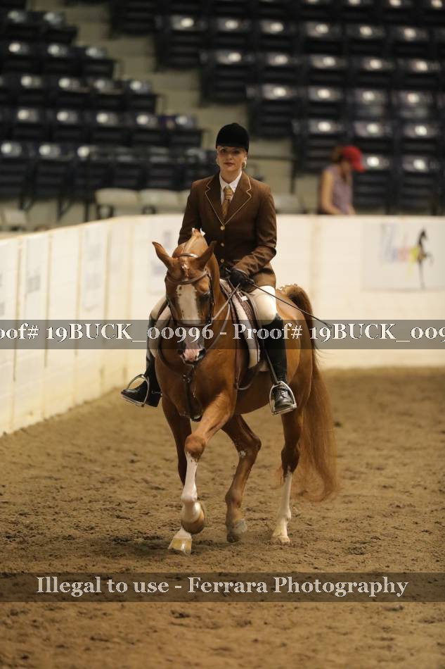 Proof 19BUCK_00996