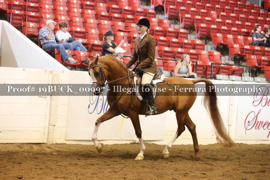 Proof 19BUCK_00997