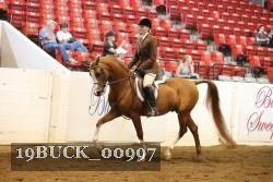 19BUCK_00997 proof