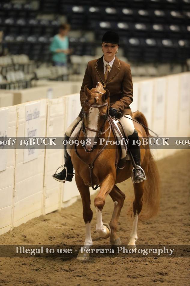 Proof 19BUCK_00998