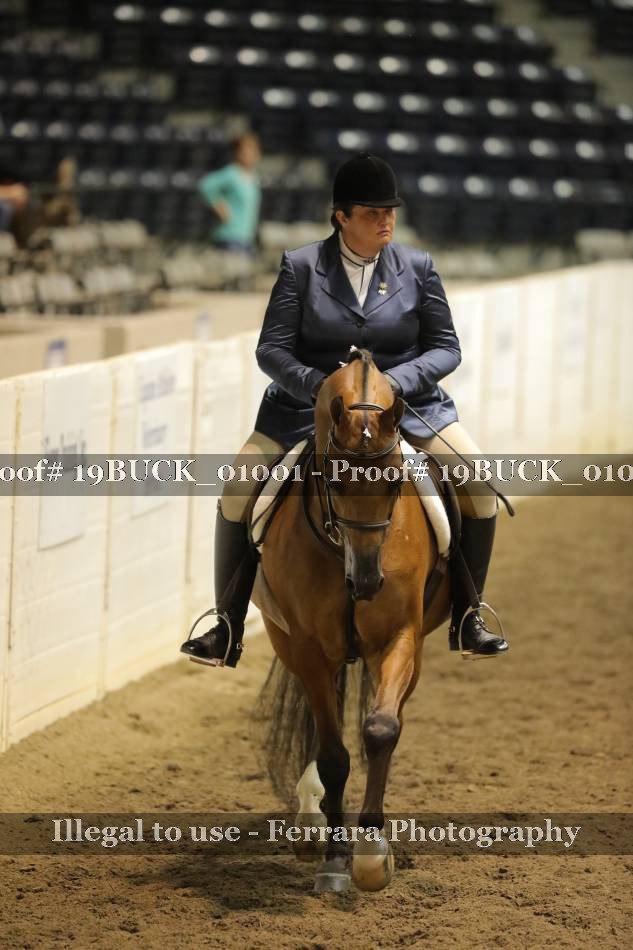 Proof 19BUCK_01001