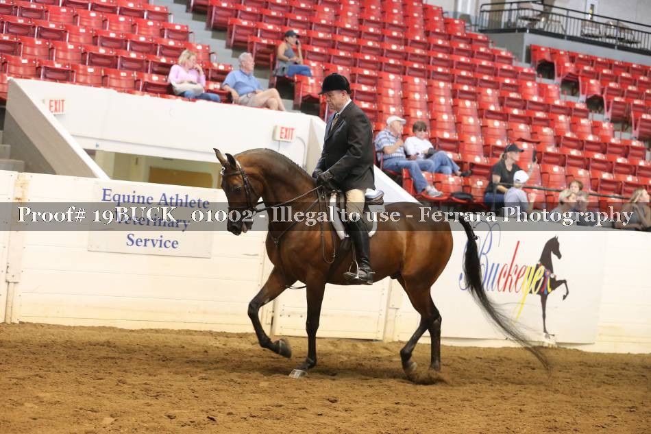 Proof 19BUCK_01002