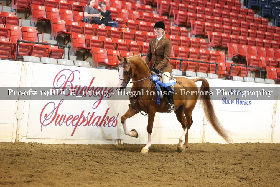 Proof 19BUCK_01003