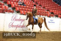 19BUCK_01003 proof