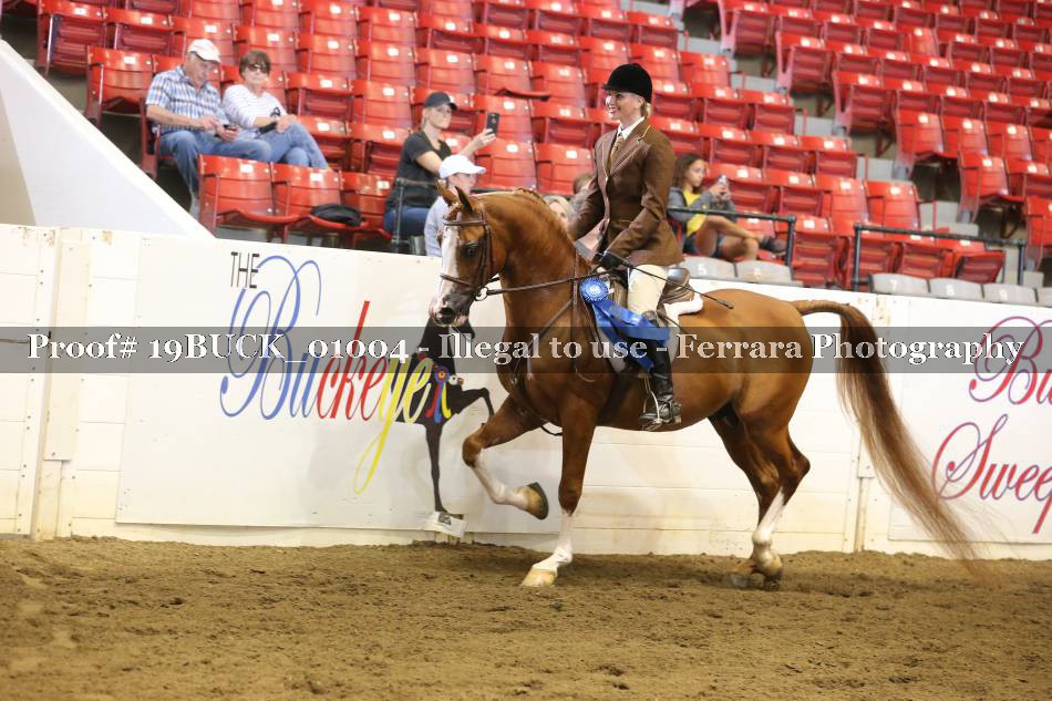 Proof 19BUCK_01004