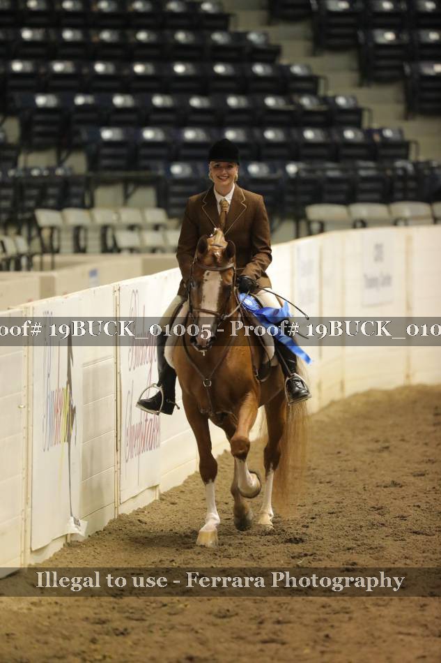 Proof 19BUCK_01005