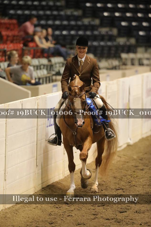 Proof 19BUCK_01006