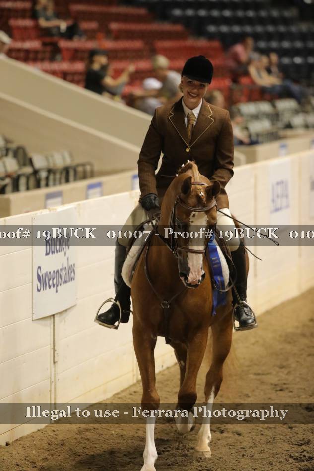 Proof 19BUCK_01007