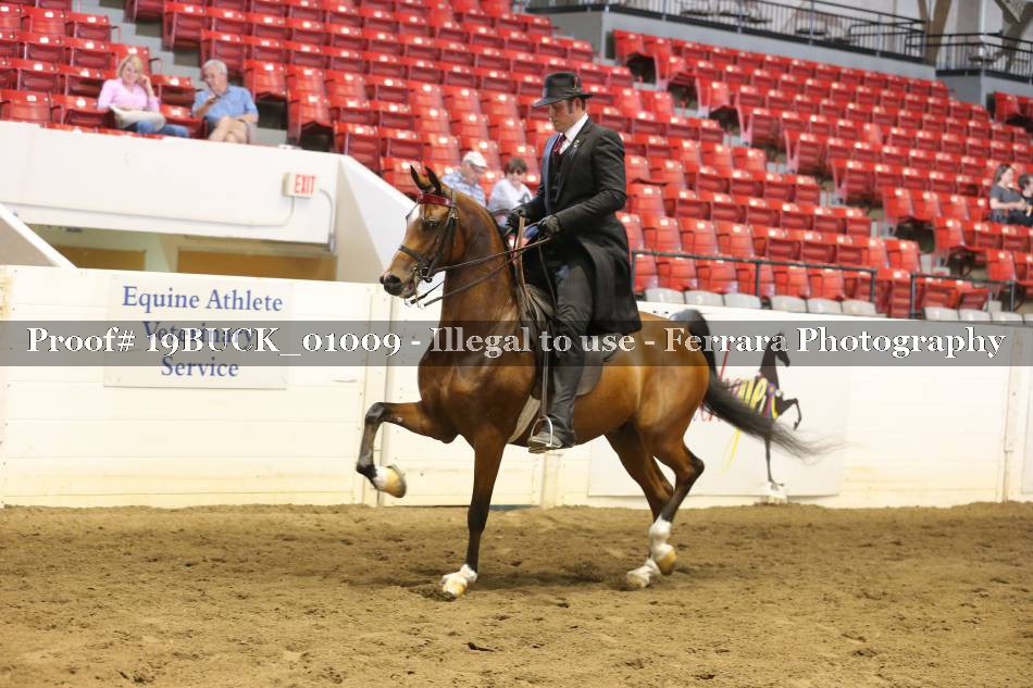 Proof 19BUCK_01009