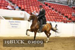 19BUCK_01009 proof